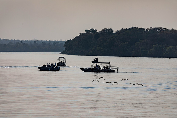 Zambezi Cruise - 100-400_20171002_0066
