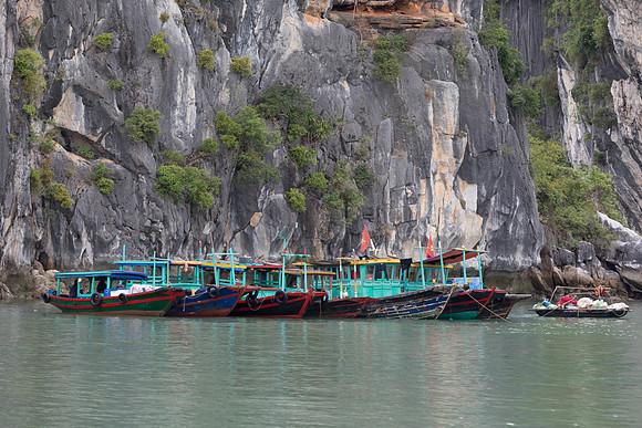 Halong Bay - 70-200_20160115_0085